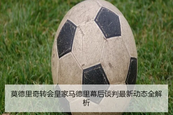 莫德里奇转会皇家马德里幕后谈判最新动态全解析