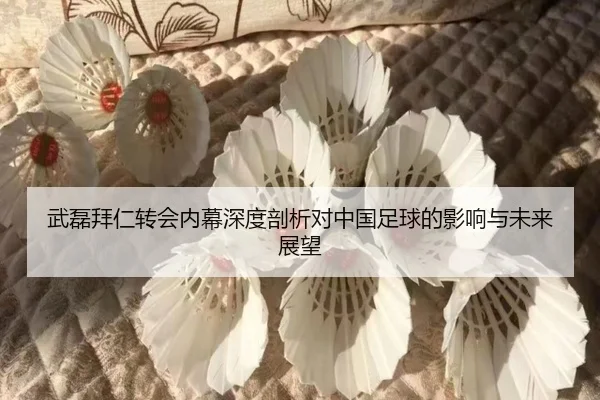 武磊拜仁转会内幕深度剖析对中国足球的影响与未来展望