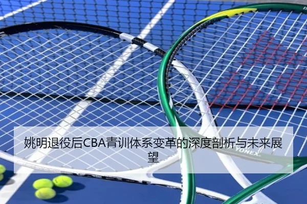 姚明退役后CBA青训体系变革的深度剖析与未来展望