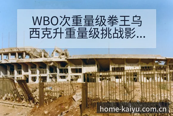 WBO次重量级拳王乌西克升重量级挑战影响排名变化分析 - 开云