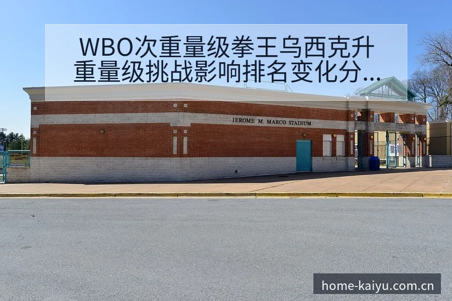 WBO次重量级拳王乌西克升重量级挑战影响排名变化分析 - 开云